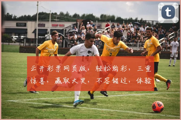 云开彩票网页版，轻松购彩，三重惊喜，赢取大奖，不容错过，体验非凡