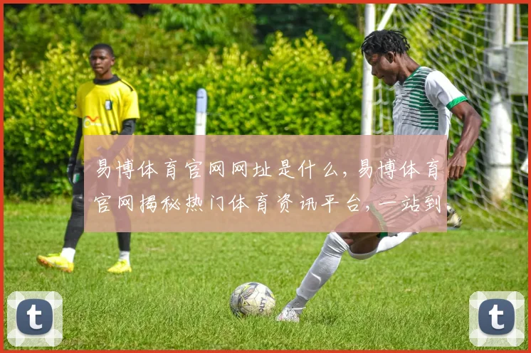 易博体育官网网址是什么,易博体育官网揭秘热门体育资讯平台,一站到底