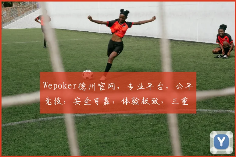 Wepoker德州官网，专业平台，公平竞技，安全可靠，体验极致，三重惊喜等你来